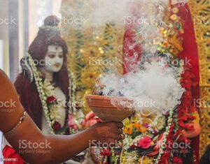 Istockphoto-941307702-1024x1024.jpg