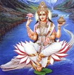 Image3.png
